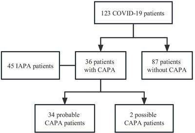 Risk factors and the value of microbiological examinations of COVID-19 associated pulmonary aspergillosis in critically ill patients in intensive care unit: the appropriate microbiological examinations are crucial for the timely diagnosis of CAPA